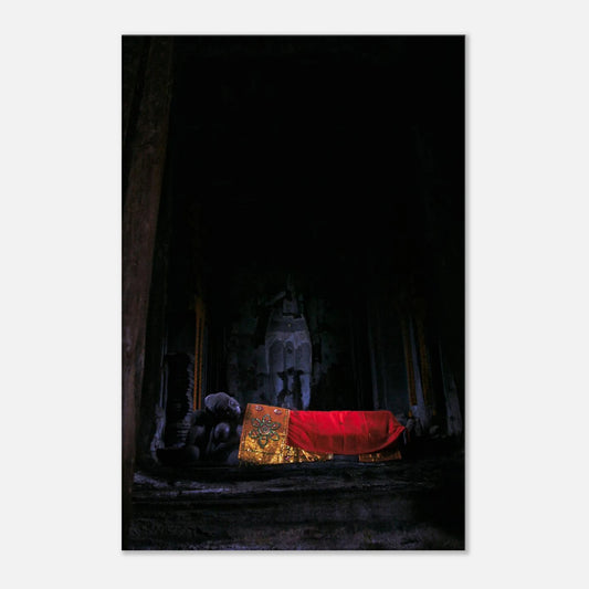 06df1664-039d-4977-808f-1e62a3c378bb