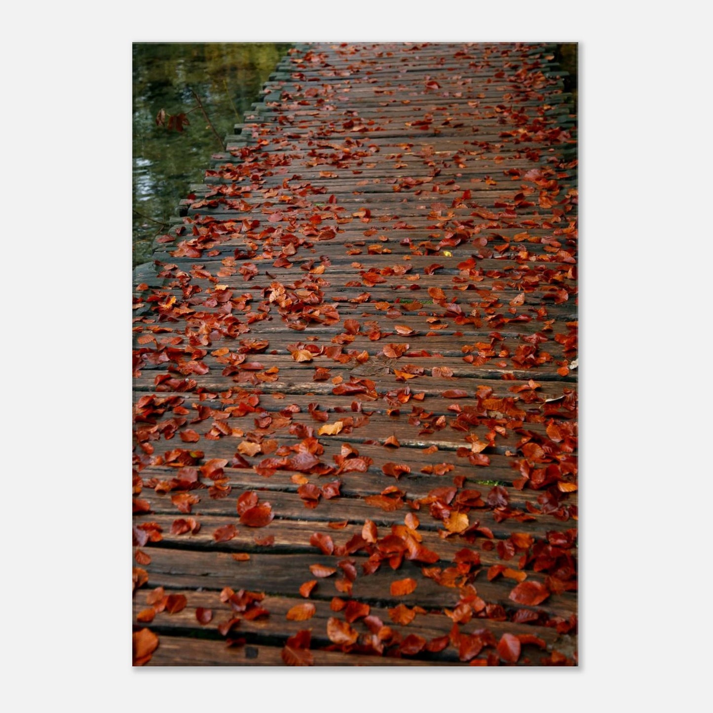 098b2bd8-2982-49ca-912c-3378100692f9