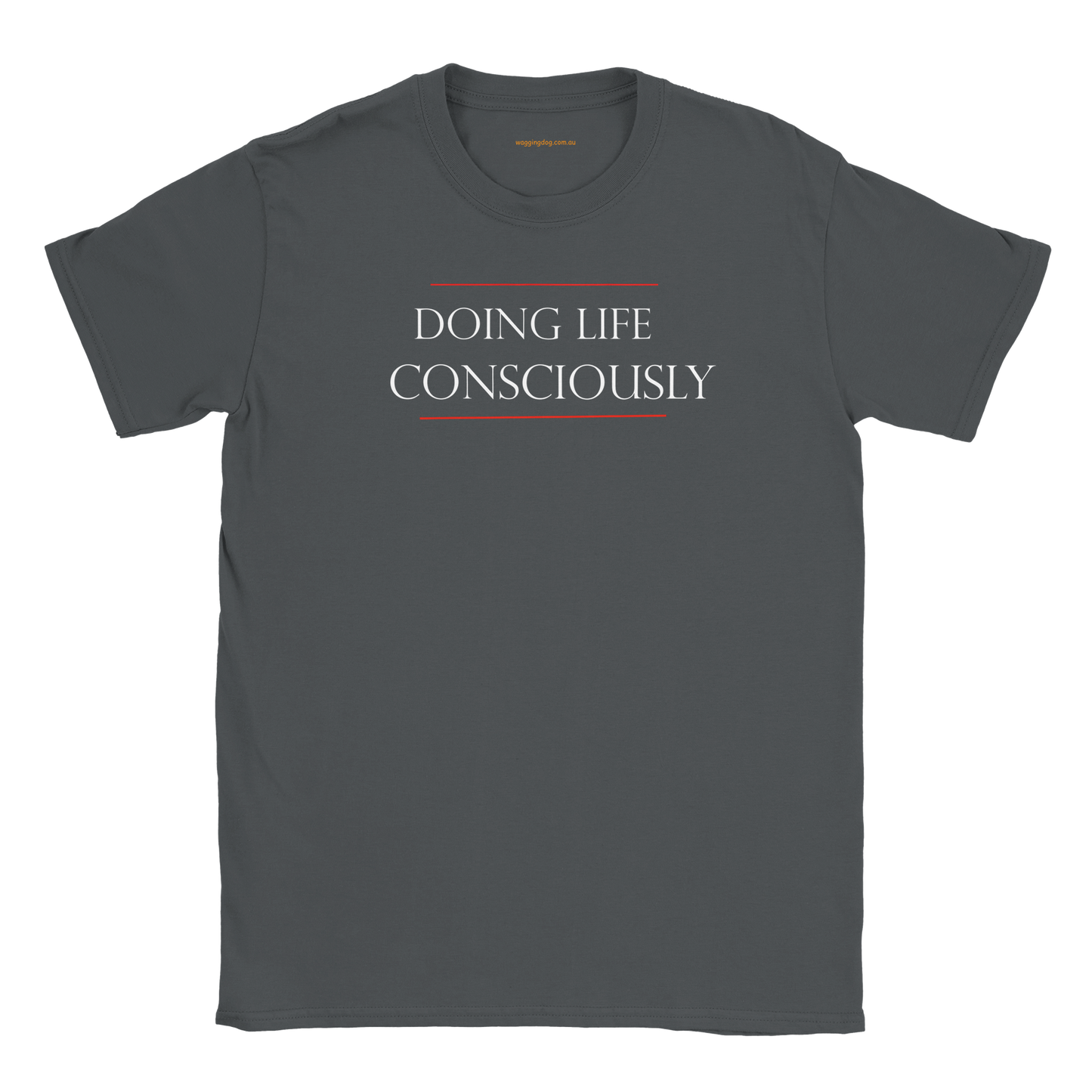 09f8e53a-6f67-4486-b605-656accd63696