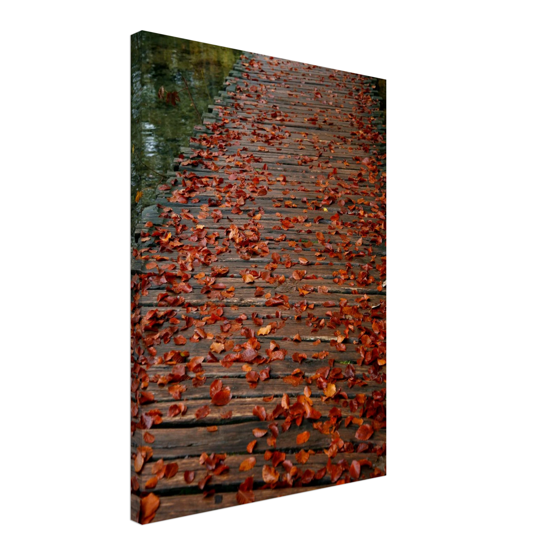 24111bd1-de46-45ed-9821-0c821af31f19