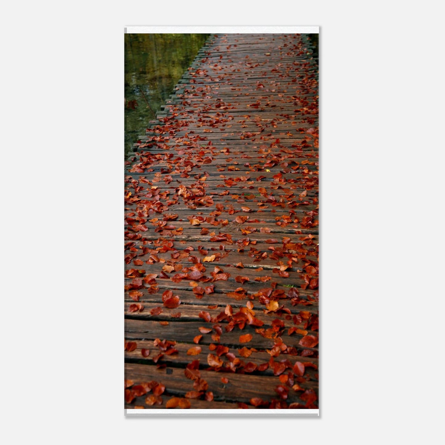 31038197-5e19-42c9-838c-c38d102c36e7