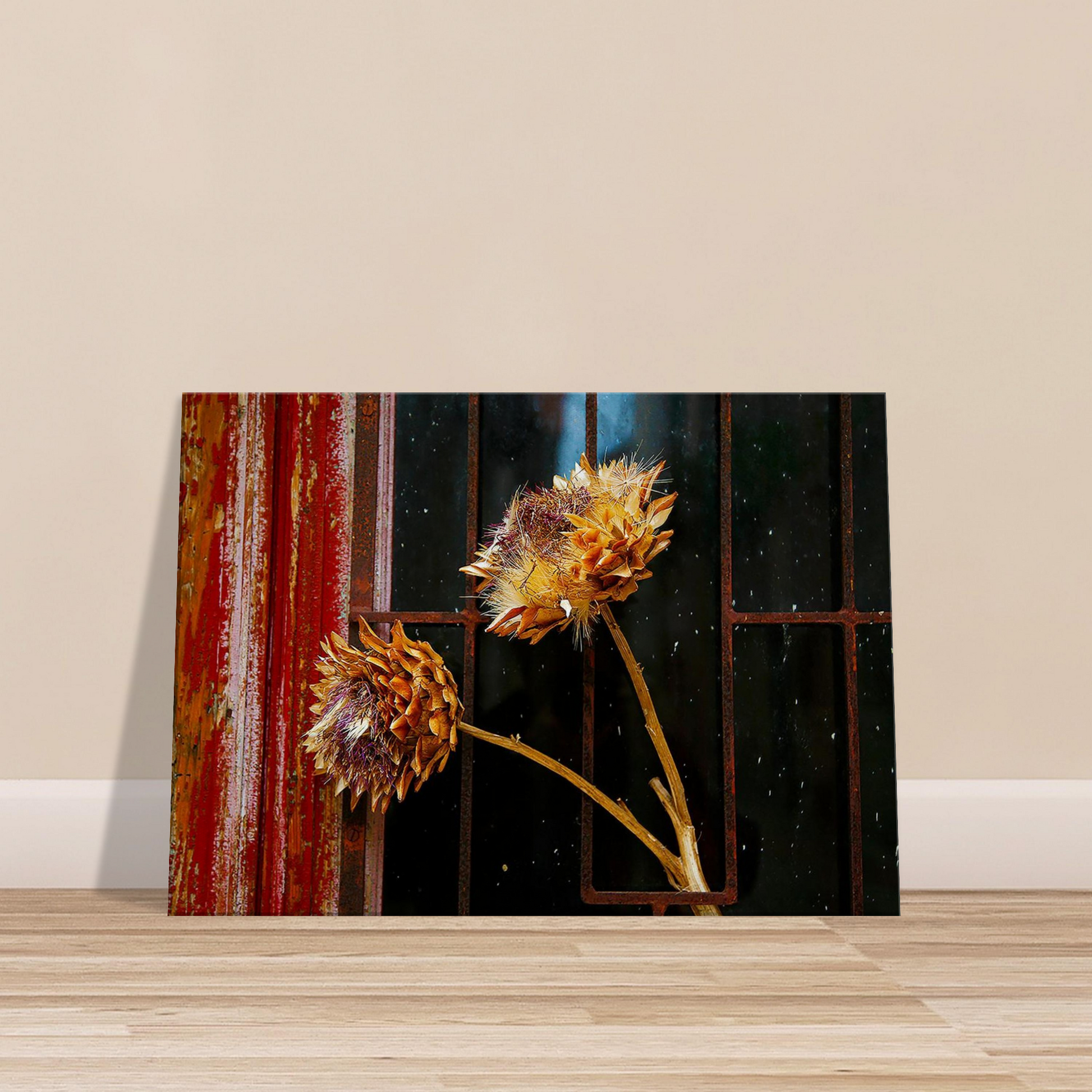 31ba9073-c9ea-4302-98c2-44ef5dc53e6c