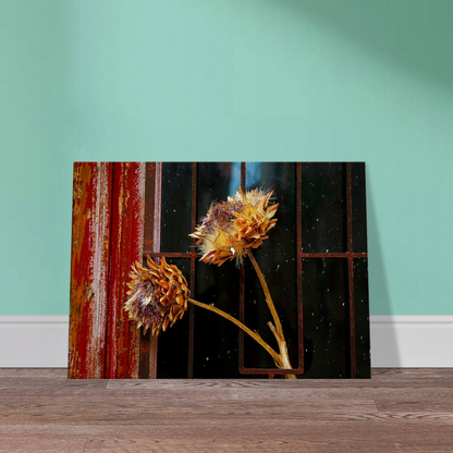 6d3b39ee-5f67-4fb0-a438-b4c301002ff3