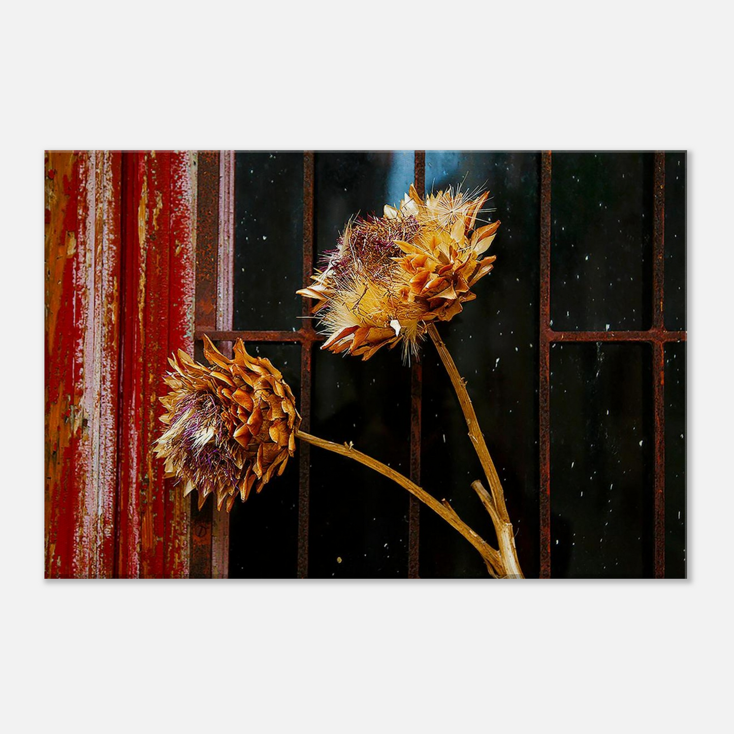 a731c3d1-eaf2-47ba-837e-4fa09039144a