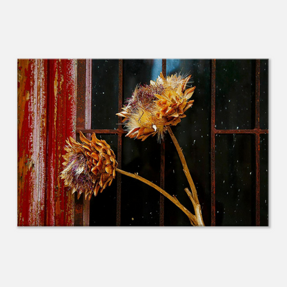 a731c3d1-eaf2-47ba-837e-4fa09039144a