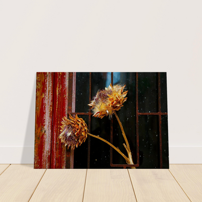 a73b6c3b-19b8-46f9-8ad3-e92c0e36a590