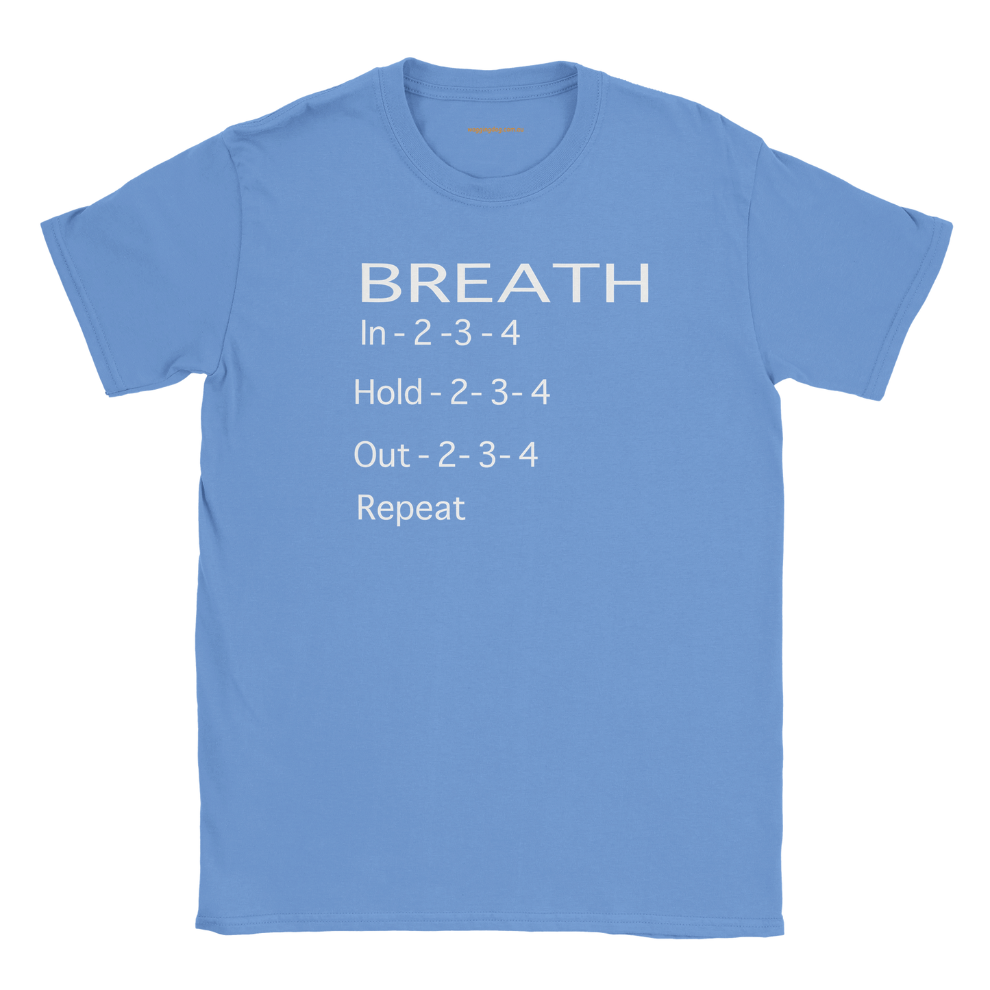 d8ac0f21-1a13-4111-9523-609960a7c01f