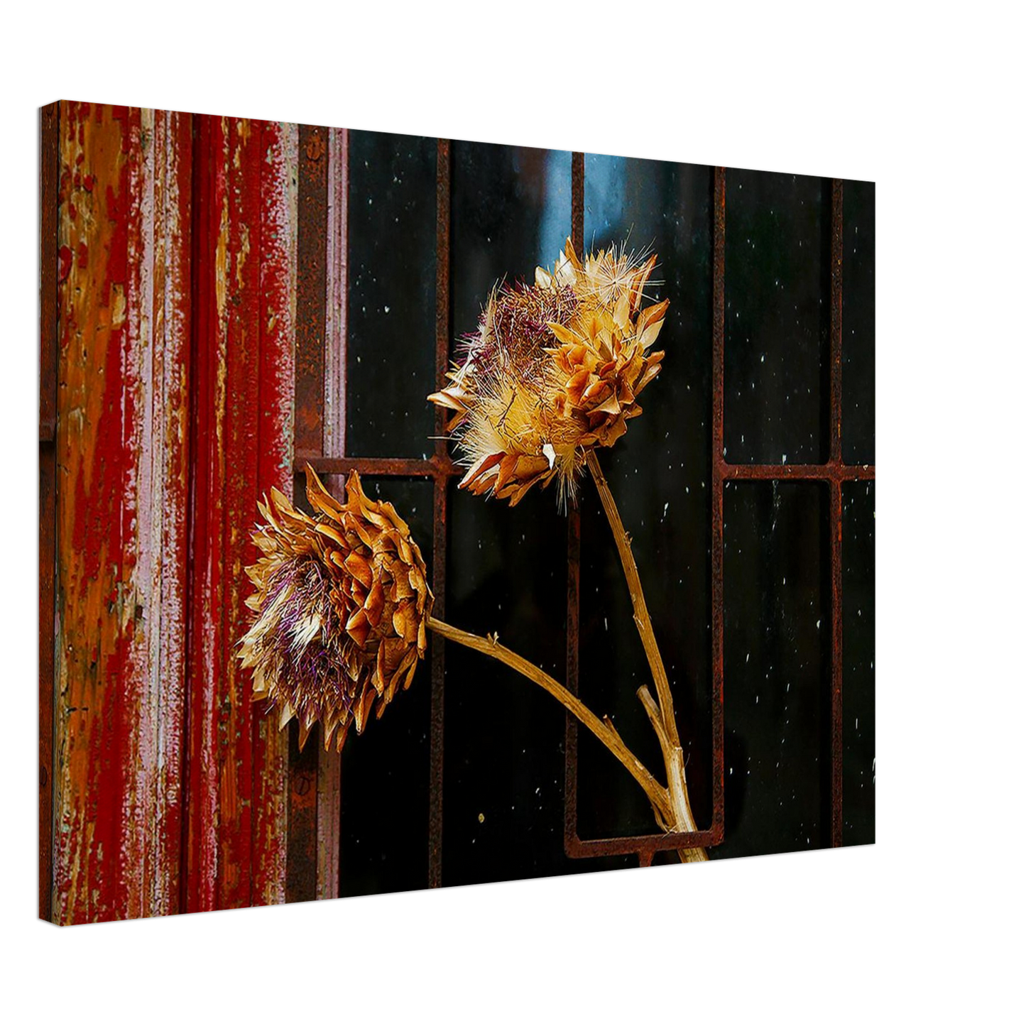 dc0a9152-cc38-46ed-b5fa-43ff9d3ee357