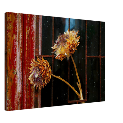 dc0a9152-cc38-46ed-b5fa-43ff9d3ee357