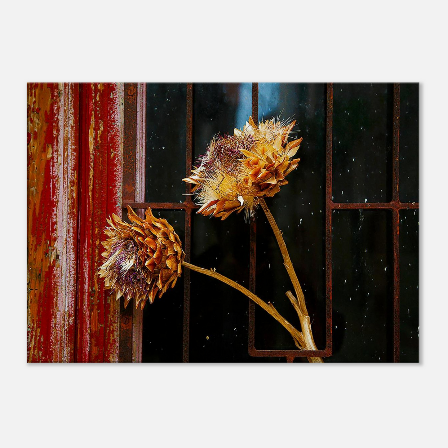 f0d9f7d8-5f05-4a2a-9004-526401be3849