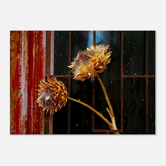 f0d9f7d8-5f05-4a2a-9004-526401be3849